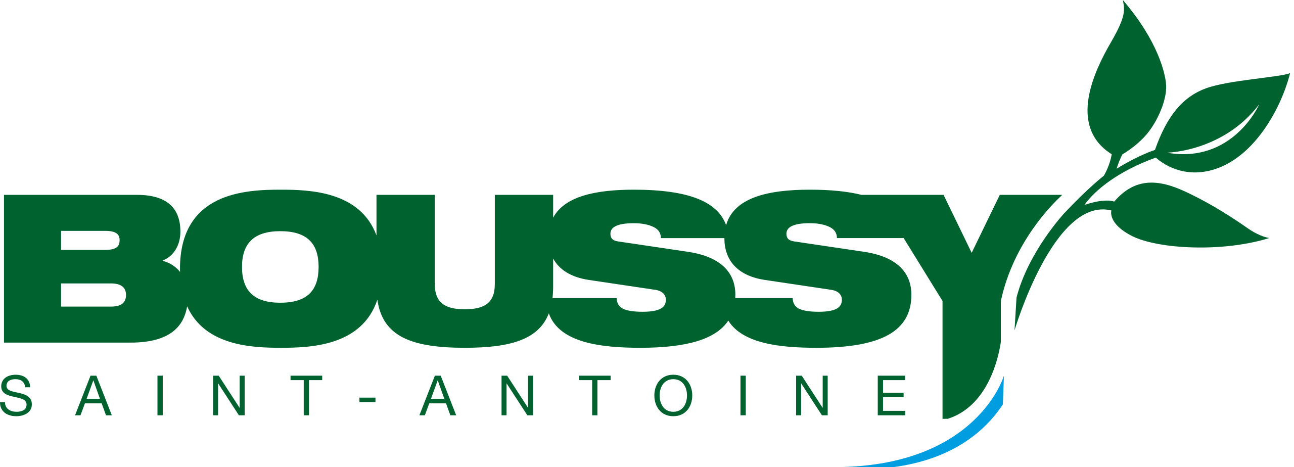 Logo Boussy-Saint-Antoine